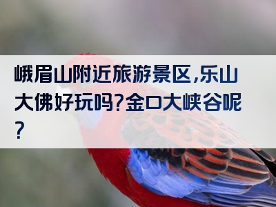 峨眉山附近旅游景区，乐山大佛好玩吗？金口大峡谷呢？