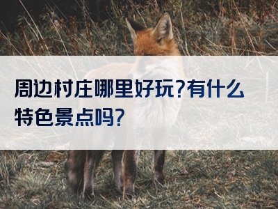 周边村庄哪里好玩？有什么特色景点吗？