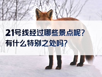 21号线经过哪些景点呢？有什么特别之处吗？