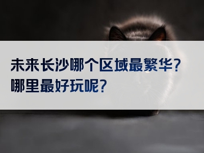 未来长沙哪个区域最繁华？哪里最好玩呢？