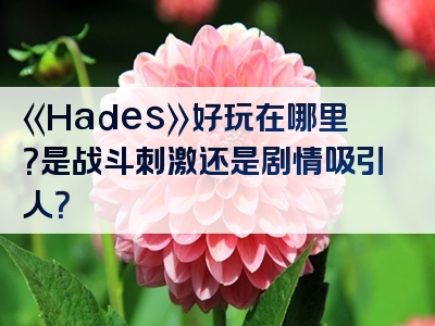 《Hades》好玩在哪里？是战斗刺激还是剧情吸引人？