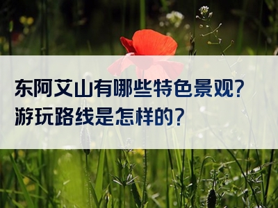 东阿艾山有哪些特色景观？游玩路线是怎样的？