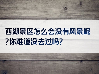西湖景区怎么会没有风景呢？你难道没去过吗？