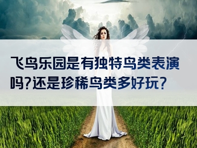 飞鸟乐园是有独特鸟类表演吗？还是珍稀鸟类多好玩？