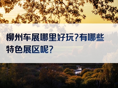 柳州车展哪里好玩？有哪些特色展区呢？