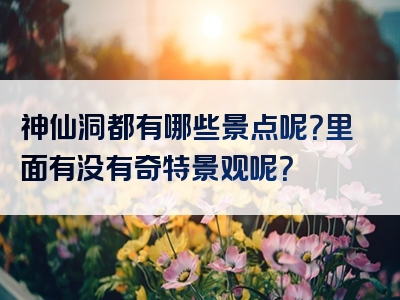 神仙洞都有哪些景点呢？里面有没有奇特景观呢？