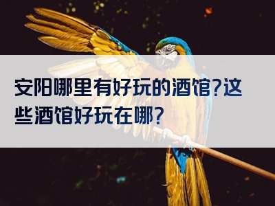 安阳哪里有好玩的酒馆？这些酒馆好玩在哪？