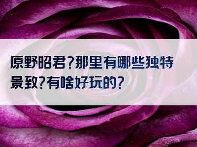原野昭君？那里有哪些独特景致？有啥好玩的？