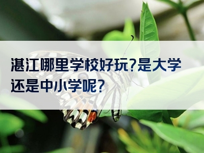 湛江哪里学校好玩？是大学还是中小学呢？