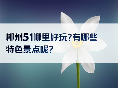 郴州51哪里好玩？有哪些特色景点呢？