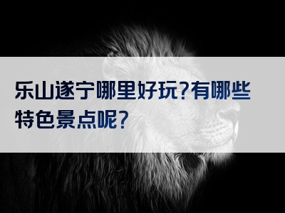 乐山遂宁哪里好玩？有哪些特色景点呢？