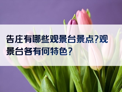 告庄有哪些观景台景点？观景台各有何特色？