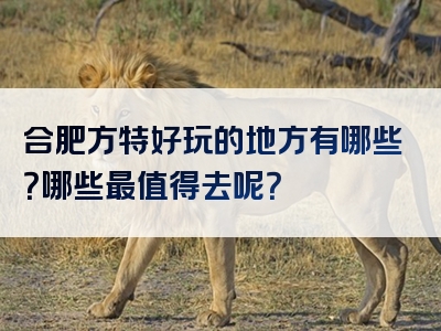 合肥方特好玩的地方有哪些？哪些最值得去呢？