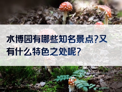 水博园有哪些知名景点？又有什么特色之处呢？