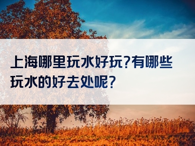上海哪里玩水好玩？有哪些玩水的好去处呢？