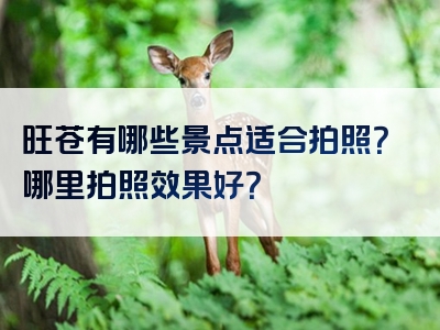 旺苍有哪些景点适合拍照？哪里拍照效果好？