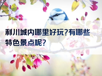 利川城内哪里好玩？有哪些特色景点呢？