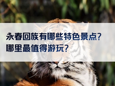 永春回族有哪些特色景点？哪里最值得游玩？