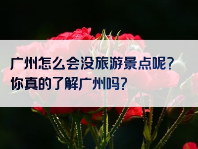 广州怎么会没旅游景点呢？你真的了解广州吗？