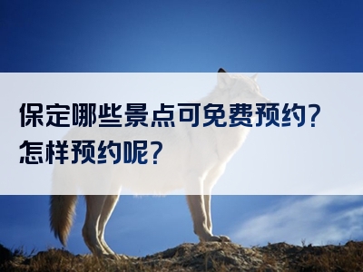 保定哪些景点可免费预约？怎样预约呢？
