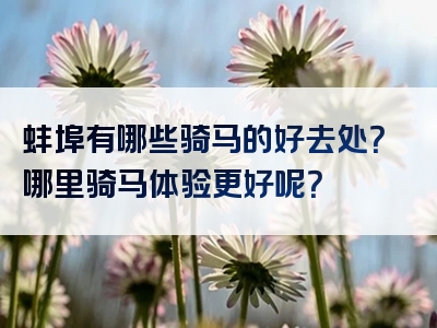 蚌埠有哪些骑马的好去处？哪里骑马体验更好呢？