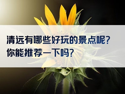 清远有哪些好玩的景点呢？你能推荐一下吗？
