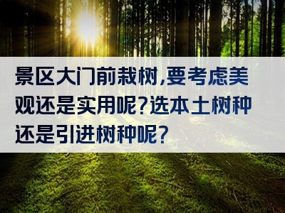 景区大门前栽树，要考虑美观还是实用呢？选本土树种还是引进树种呢？