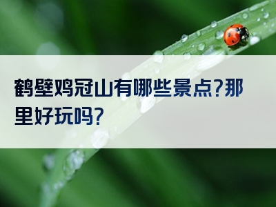 鹤壁鸡冠山有哪些景点？那里好玩吗？