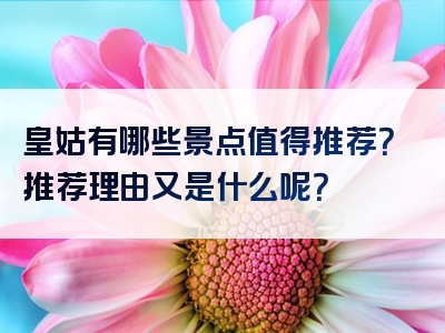 皇姑有哪些景点值得推荐？推荐理由又是什么呢？