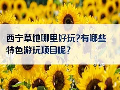 西宁草地哪里好玩？有哪些特色游玩项目呢？