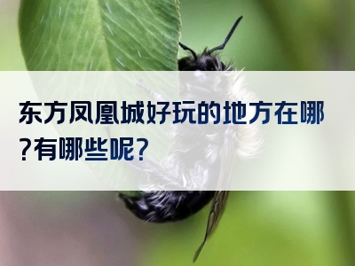 东方凤凰城好玩的地方在哪？有哪些呢？