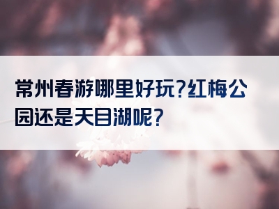 常州春游哪里好玩？红梅公园还是天目湖呢？