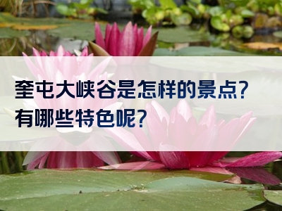 奎屯大峡谷是怎样的景点？有哪些特色呢？