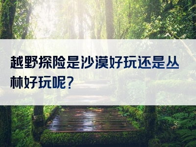 越野探险是沙漠好玩还是丛林好玩呢？