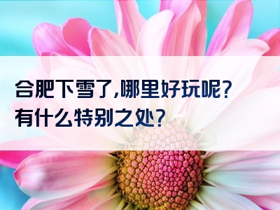 合肥下雪了，哪里好玩呢？有什么特别之处？