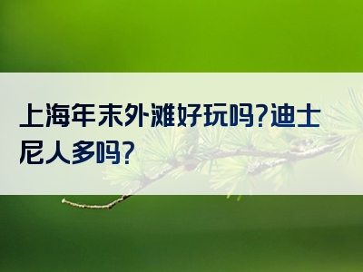 上海年末外滩好玩吗？迪士尼人多吗？