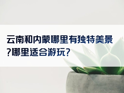 云南和内蒙哪里有独特美景？哪里适合游玩？