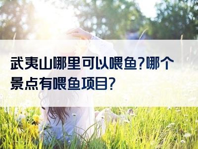 武夷山哪里可以喂鱼？哪个景点有喂鱼项目？