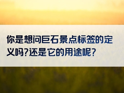 你是想问巨石景点标签的定义吗？还是它的用途呢？