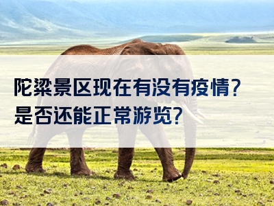 陀粱景区现在有没有疫情？是否还能正常游览？