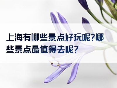 上海有哪些景点好玩呢？哪些景点最值得去呢？