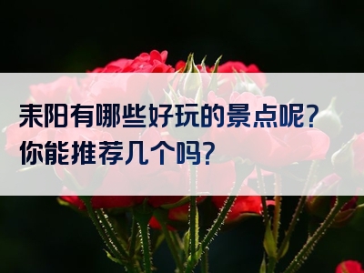 耒阳有哪些好玩的景点呢？你能推荐几个吗？