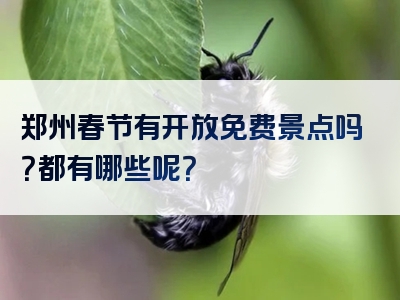 郑州春节有开放免费景点吗？都有哪些呢？