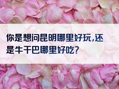 你是想问昆明哪里好玩，还是牛干巴哪里好吃？