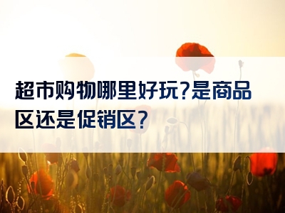 超市购物哪里好玩？是商品区还是促销区？
