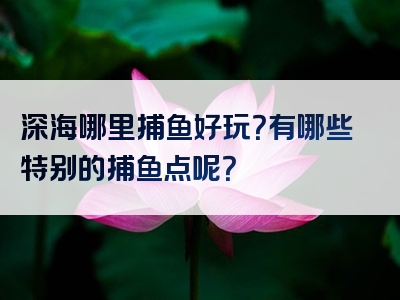 深海哪里捕鱼好玩？有哪些特别的捕鱼点呢？
