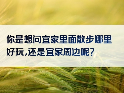 你是想问宜家里面散步哪里好玩，还是宜家周边呢？