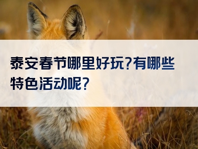 泰安春节哪里好玩？有哪些特色活动呢？
