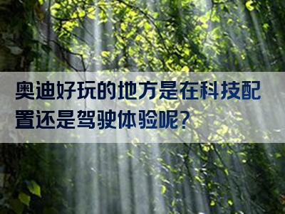 奥迪好玩的地方是在科技配置还是驾驶体验呢？