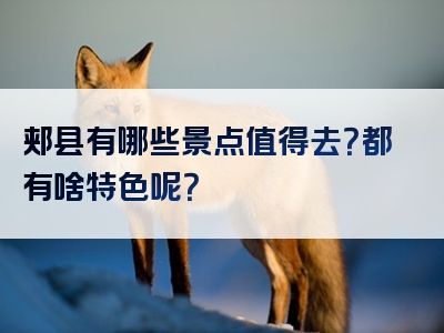 郏县有哪些景点值得去？都有啥特色呢？